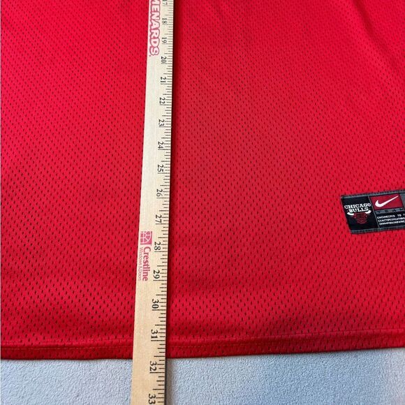 Vintage Nike SCOTTIE PIPPEN #33 Chicago Bulls Jersey - Picture 4 of 16